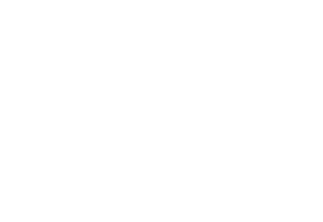lyonstec logo